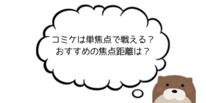 【実体験】コミケで使えるレンズの焦点距離は？単焦点でも大丈夫？【50mmならいける】