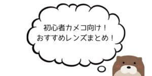 【初心者カメコ向け】おすすめのレンズまとめ！【イベント・個別で変わる】