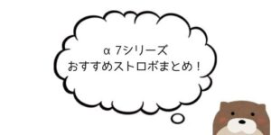 【Sony】α7シリーズにおすすめのストロボをご紹介【カメコ必須】