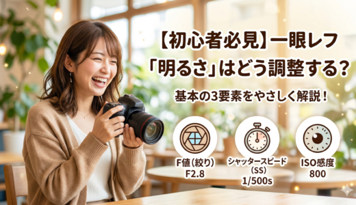 【カメラ初心者必見】一眼レフの「明るさ」はどう調整する？基本の3要素を解説！